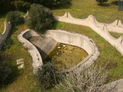 Da un terrazzo si intravede anche lo scheletro di una piscina immersa in un grande prato verde e circondata da piccoli arbusti